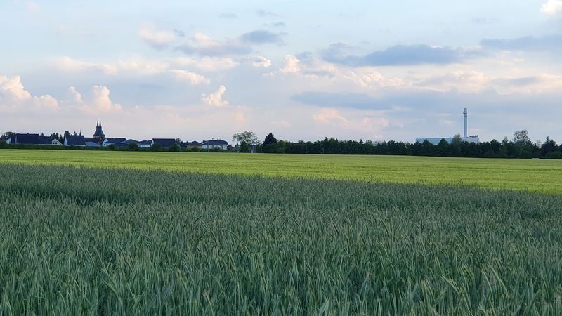 Blick auf Krostitz